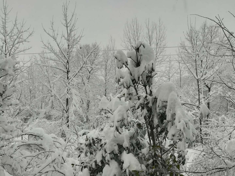 【人生就是博尊龙风尚】传递正能量，向风雪里辛勤工作的最美人生就是博尊龙人致敬！